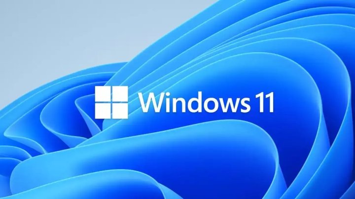 Windows 11
