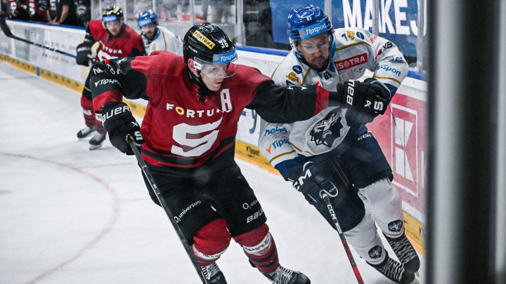 Ilustrační fotografie. 