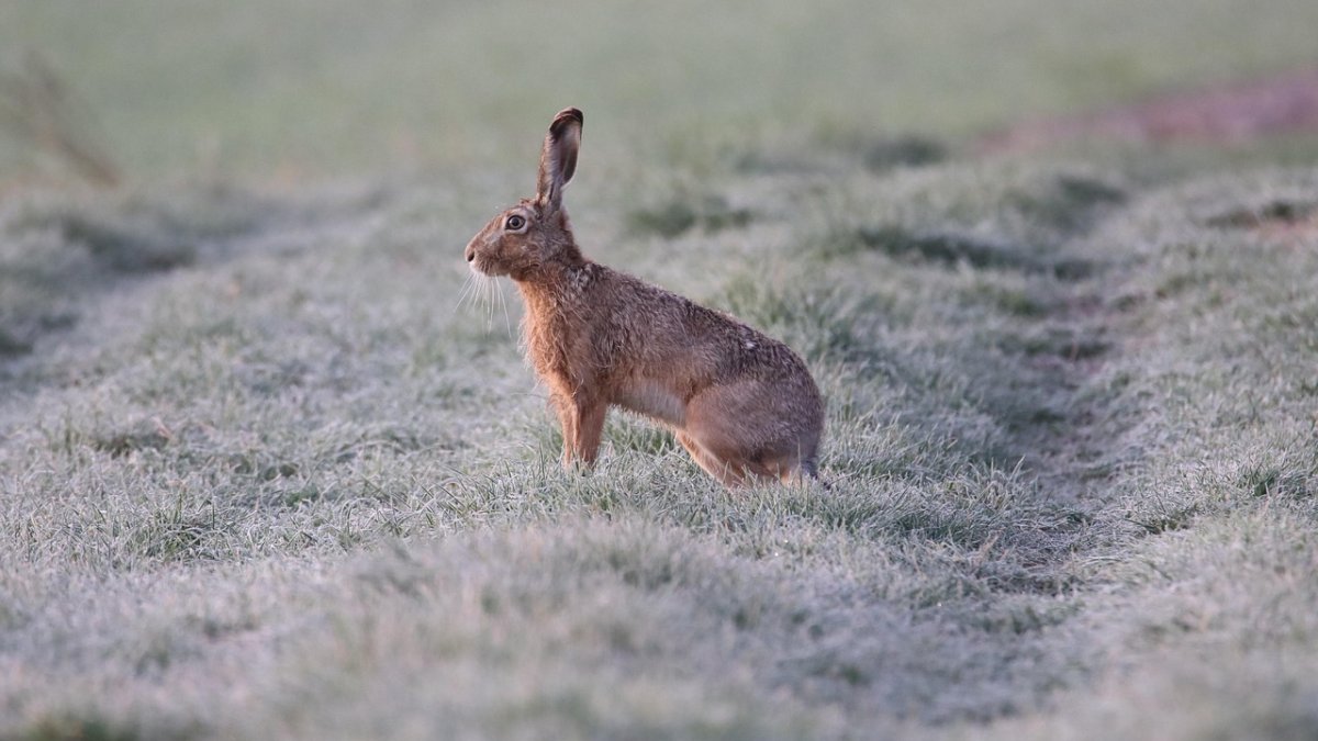 Ilustrační fotografie. 